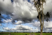 nba视频直播在线观看腾讯体育，nba直播腾讯体育直播视频